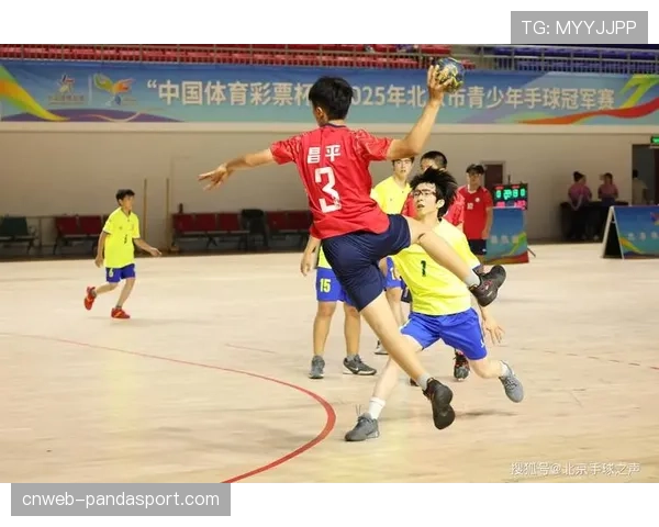 手球运动入选2026年欧洲学校运动会正式项目